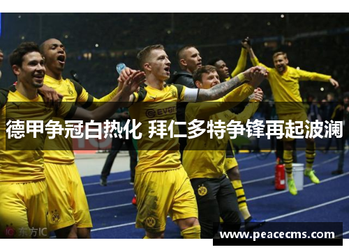 德甲争冠白热化 拜仁多特争锋再起波澜