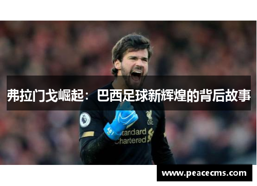 弗拉门戈崛起：巴西足球新辉煌的背后故事