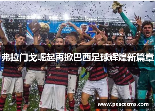 弗拉门戈崛起再掀巴西足球辉煌新篇章