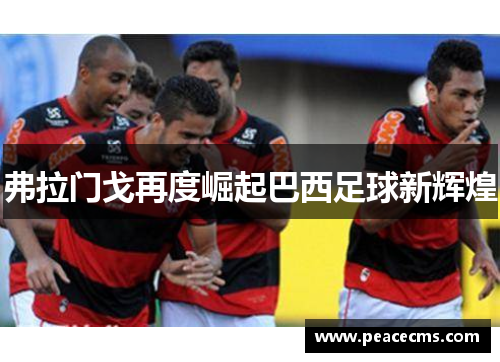 弗拉门戈再度崛起巴西足球新辉煌