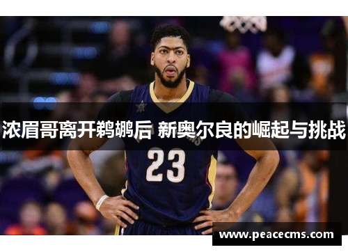 浓眉哥离开鹈鹕后 新奥尔良的崛起与挑战