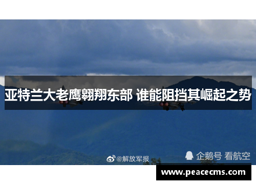 亚特兰大老鹰翱翔东部 谁能阻挡其崛起之势